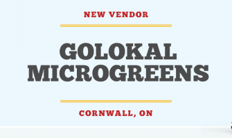 Cultivating Health and Sustainability: Discover Golokal Microgreens