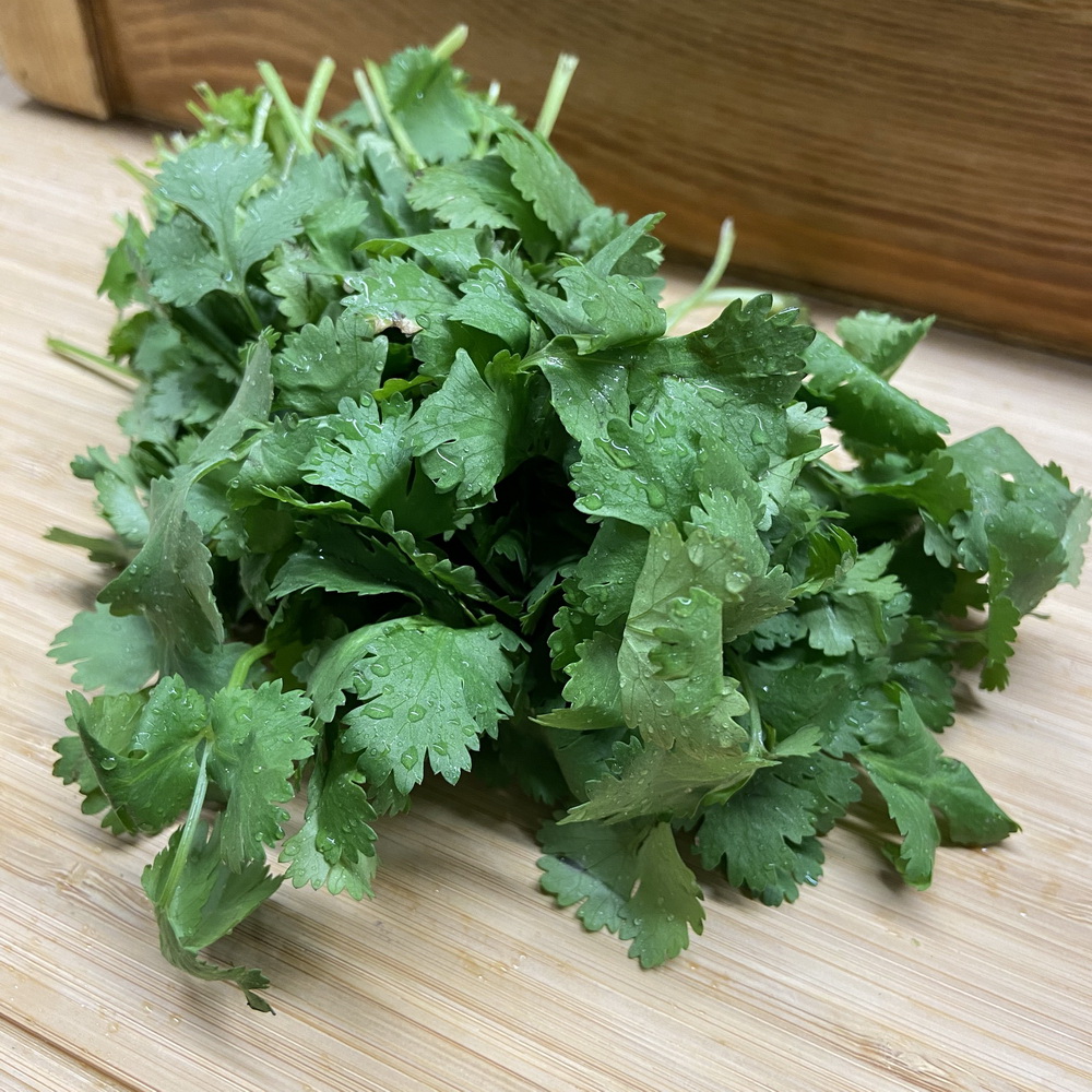 Herbs- Cilantro/Corriander (1 pack)