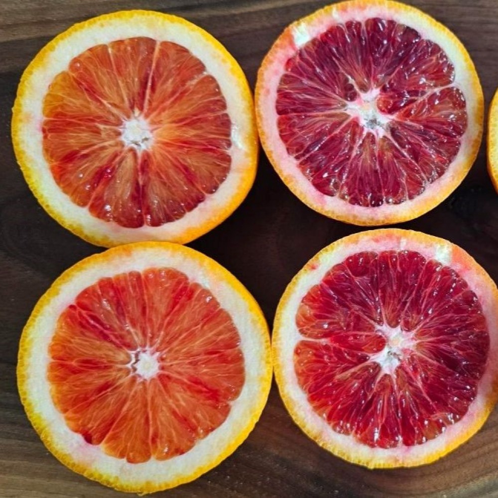 Organic Blood Oranges - 22 lb box