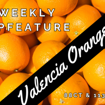 Organic Valencia Oranges - 113 Count Box