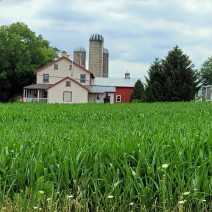 Private Countryside Back Roads Tour - Mon, Wed, Fri (2-23 People)