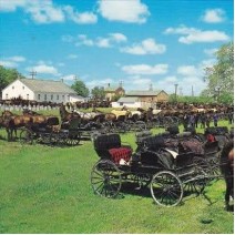 Video Presentation - Non- Market Days