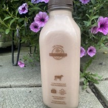 Milk - Eby Manor - Golden Guernsey - 4% Chocolate - 1L