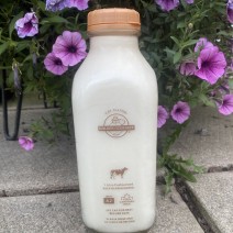 Milk - Eby Manor - Golden Guernsey - 4.8% Non-Homogenized - 1 L
