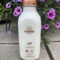 Milk - Eby Manor - Golden Guernsey - Homogenized 2% - 1 L