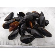 Fresh PEI mussels (2LB)
