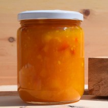 Mango Chutney (Reg or Garlic)