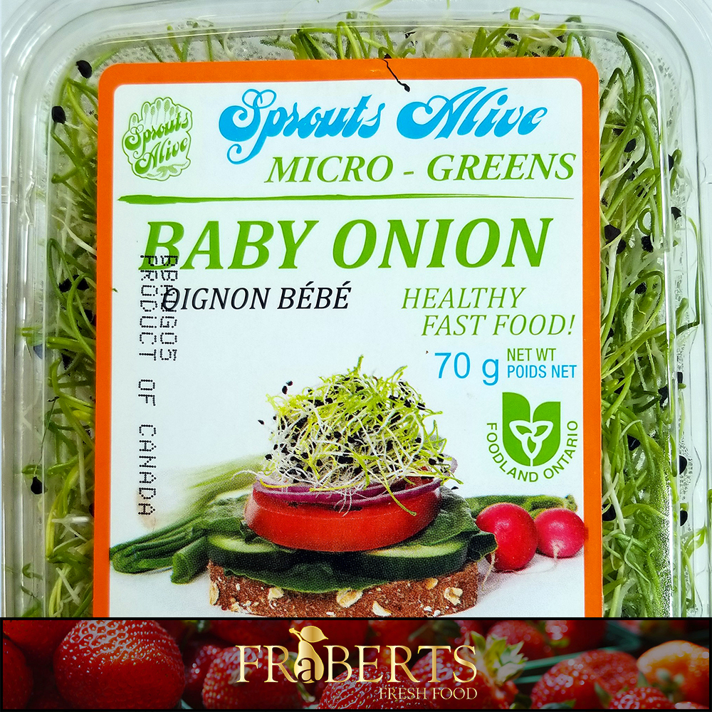 Onion Sprouts