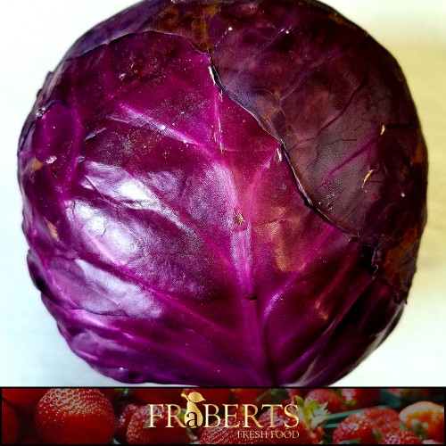 Cabbage - Red