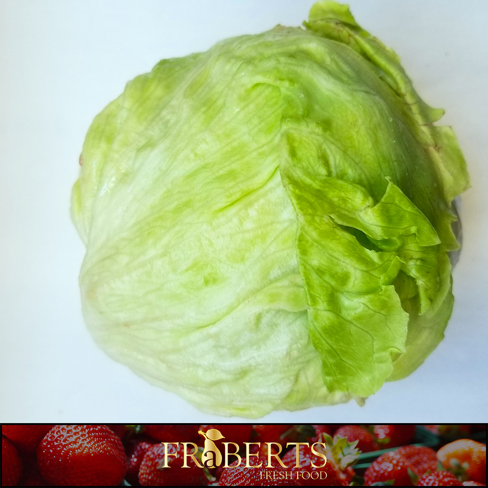Lettuce - Head / Iceburg - each