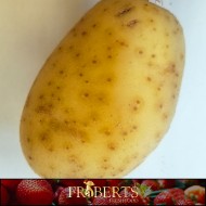 Potatoes - White (1lb)
